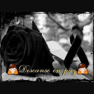 Meet your Posher, Aylin